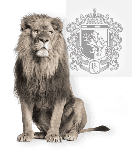 Services We Offer for the Transportation and Logistics Industry