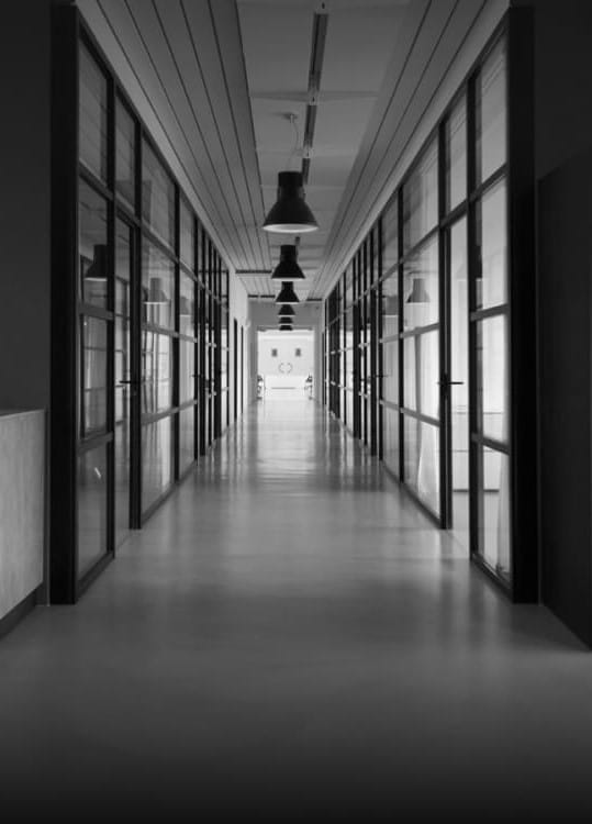 PROFESSIONAL REGULATION AND DISCIPLINE LAWYER