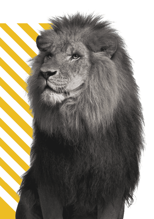 Licence Appeal Tribunal: